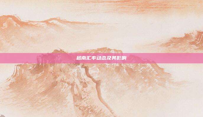 越南汇率动态及其影响