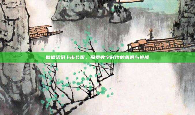 数据资讯上市公司，探索数字时代的机遇与挑战