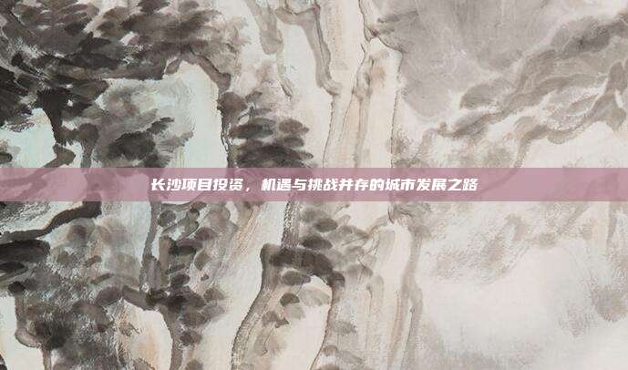 长沙项目投资，机遇与挑战并存的城市发展之路