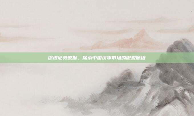 深圳证券数据，探索中国资本市场的微观脉络