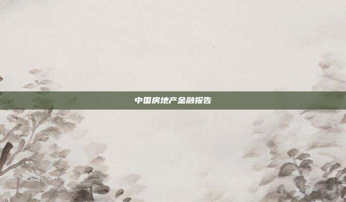 中国房地产金融报告