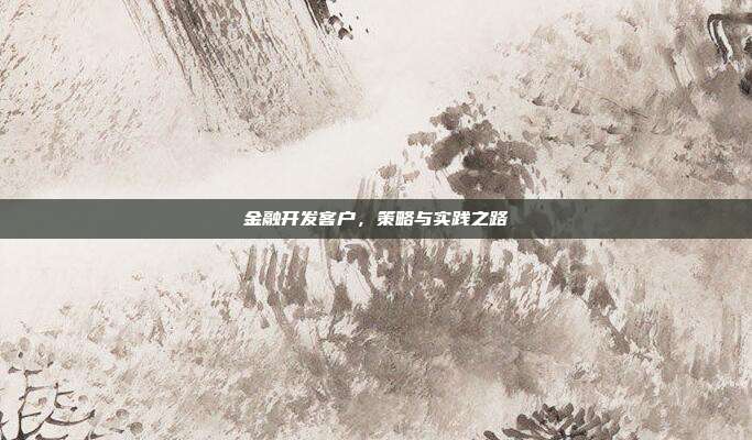 金融开发客户，策略与实践之路