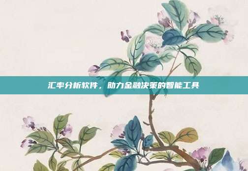 汇率分析软件，助力金融决策的智能工具