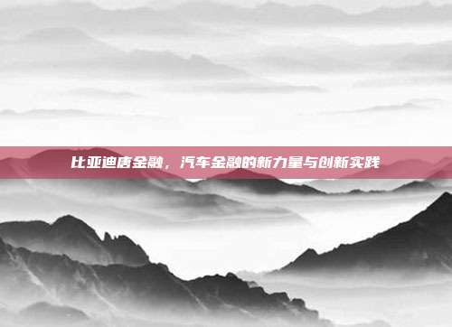 比亚迪唐金融，汽车金融的新力量与创新实践