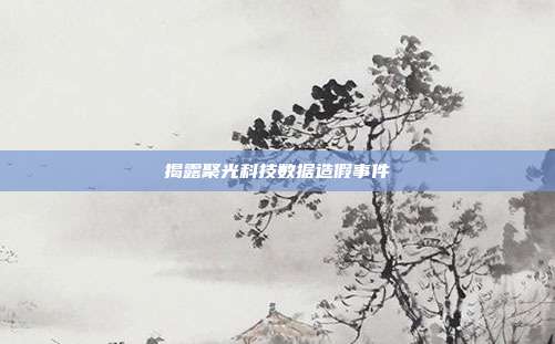 揭露聚光科技数据造假事件