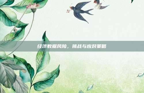 经济数据风险，挑战与应对策略