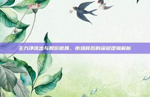 主力净流出与股价微跌，市场背后的深层逻辑解析
