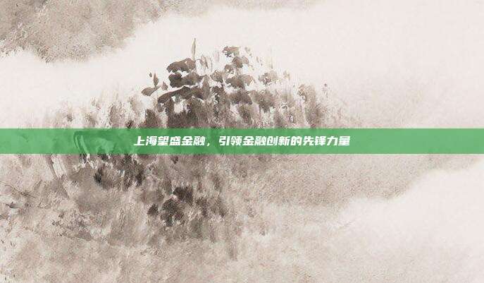 上海望盛金融，引领金融创新的先锋力量