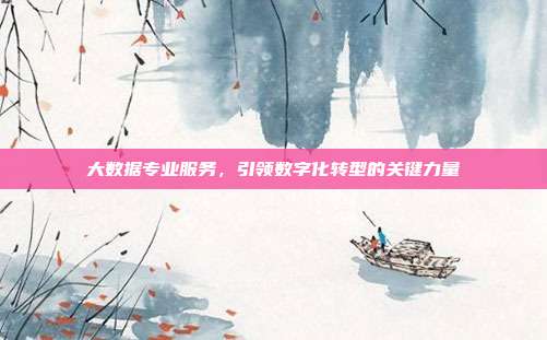 大数据专业服务，引领数字化转型的关键力量