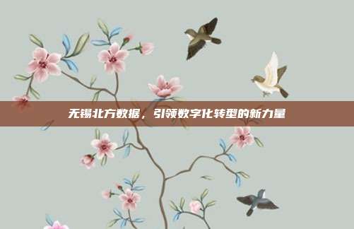 无锡北方数据，引领数字化转型的新力量
