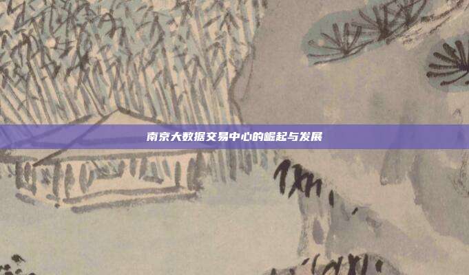南京大数据交易中心的崛起与发展