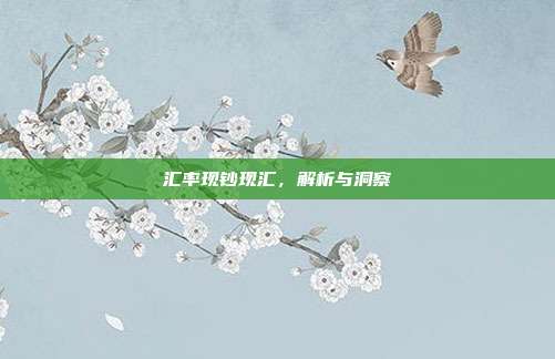 汇率现钞现汇，解析与洞察