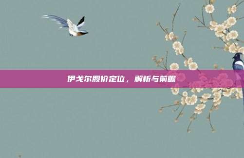 伊戈尔股价定位，解析与前瞻