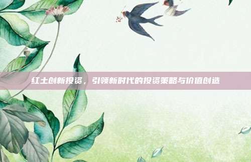 红土创新投资，引领新时代的投资策略与价值创造