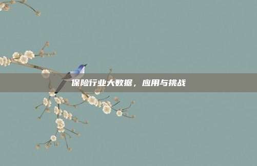 保险行业大数据，应用与挑战
