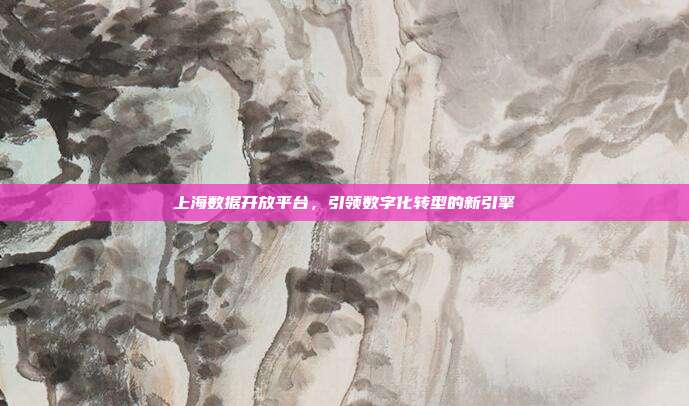 上海数据开放平台，引领数字化转型的新引擎