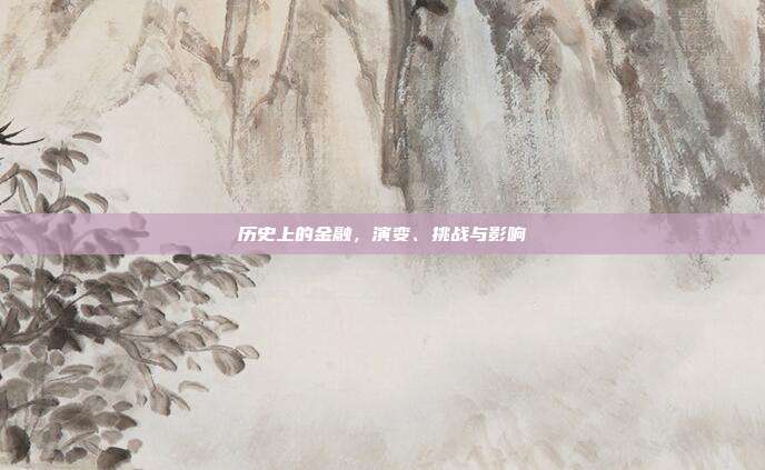 历史上的金融，演变、挑战与影响