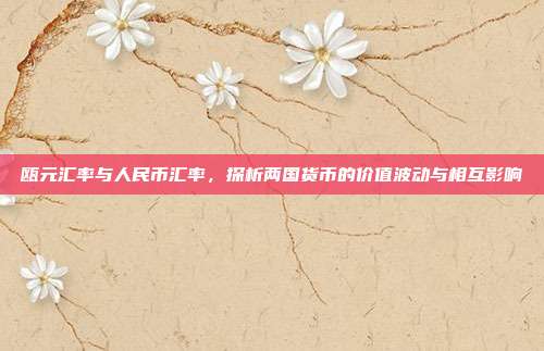 瓯元汇率与人民币汇率，探析两国货币的价值波动与相互影响