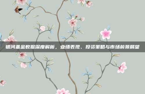 银河基金数据深度解析，业绩表现、投资策略与市场前景展望
