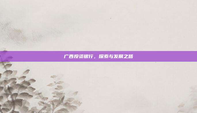 广西投资银行，探索与发展之路