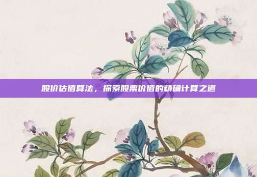 股价估值算法，探索股票价值的精确计算之道