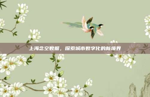上海念空数据，探索城市数字化的新境界