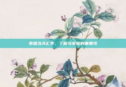泰国当天汇率，了解与掌握的重要性