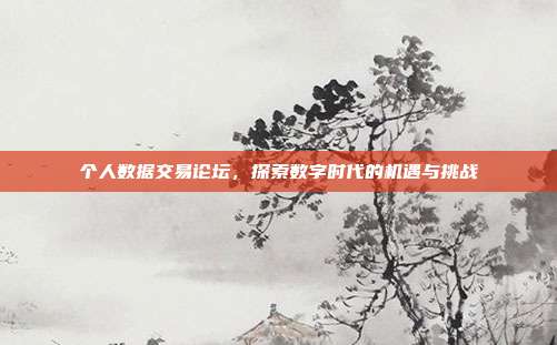 个人数据交易论坛，探索数字时代的机遇与挑战