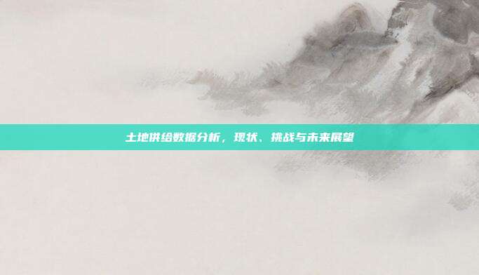 土地供给数据分析，现状、挑战与未来展望