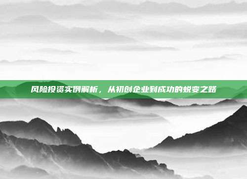 风险投资实例解析，从初创企业到成功的蜕变之路