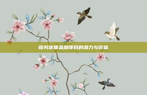 探究优质金融项目的潜力与价值
