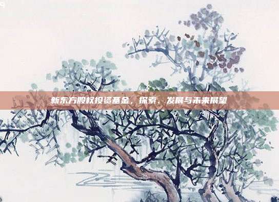 新东方股权投资基金，探索、发展与未来展望