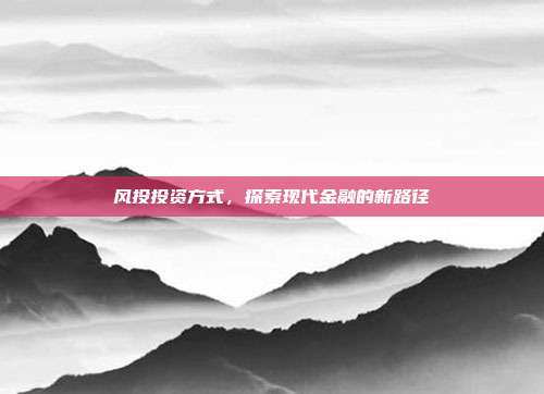 风投投资方式，探索现代金融的新路径