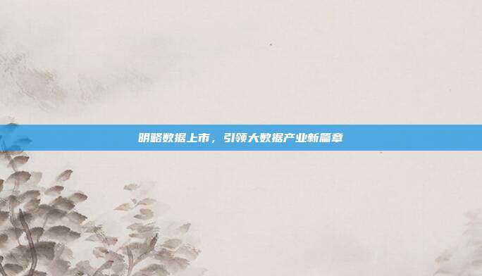 明略数据上市，引领大数据产业新篇章