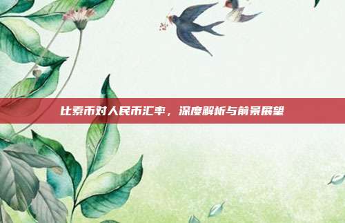 比索币对人民币汇率，深度解析与前景展望