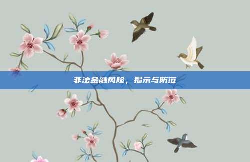 非法金融风险，揭示与防范