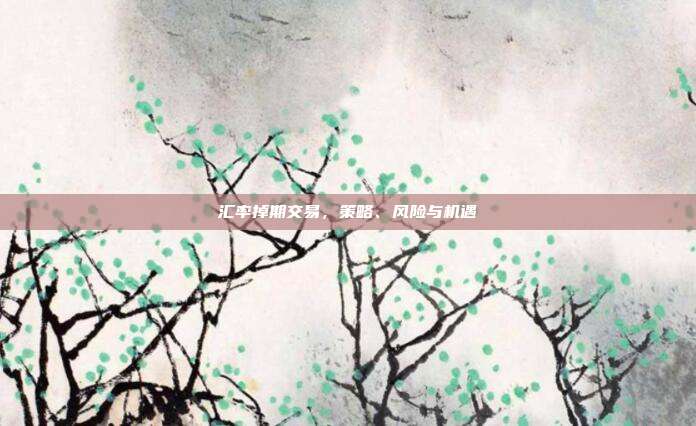 汇率掉期交易，策略、风险与机遇