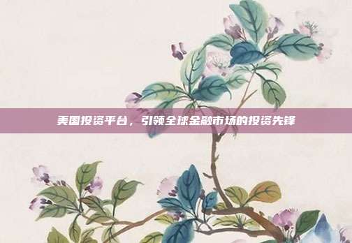 美国投资平台，引领全球金融市场的投资先锋
