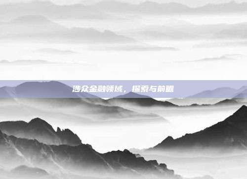 涉众金融领域，探索与前瞻
