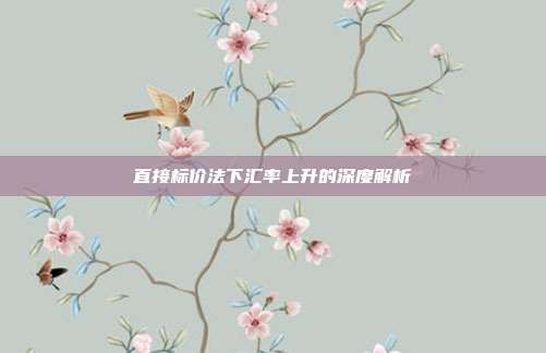 直接标价法下汇率上升的深度解析