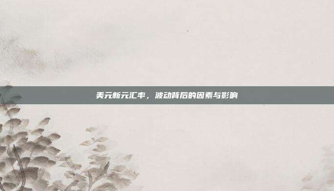 美元新元汇率，波动背后的因素与影响