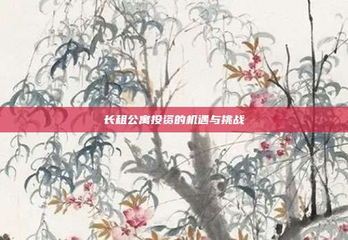 长租公寓投资的机遇与挑战