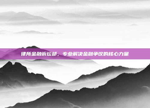 律所金融诉讼部，专业解决金融争议的核心力量