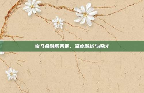 宝马金融服务费，深度解析与探讨