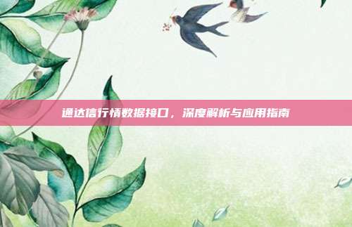 通达信行情数据接口，深度解析与应用指南