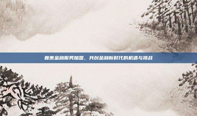 普惠金融服务加盟，共创金融新时代的机遇与挑战
