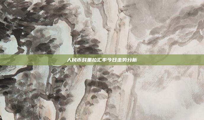 人民币对里拉汇率今日走势分析