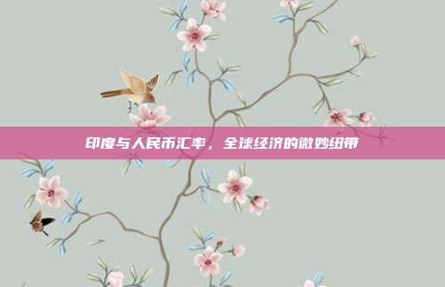 印度与人民币汇率，全球经济的微妙纽带