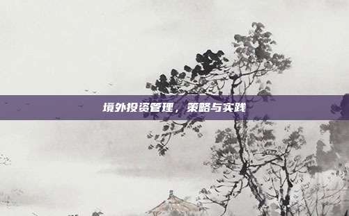 境外投资管理，策略与实践