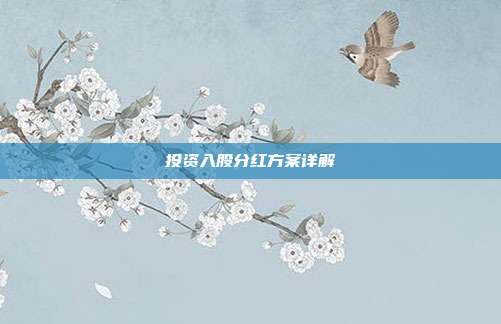 投资入股分红方案详解